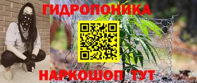 шишки Донской