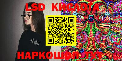 шишки Донской