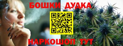 шишки Донской