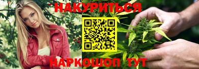 шишки Донской