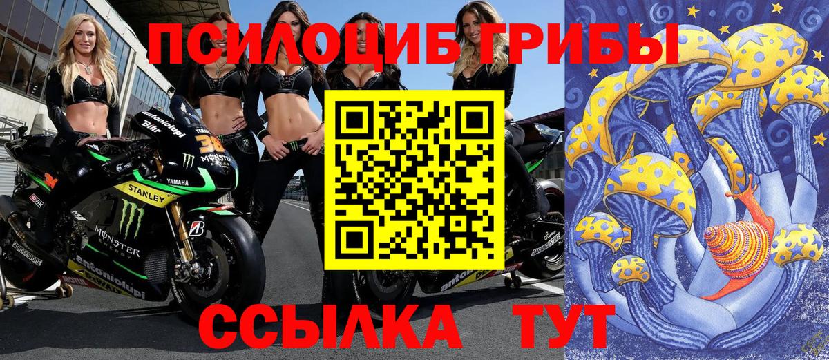 Псилоцибиновые грибы GOLDEN TEACHER Миллерово